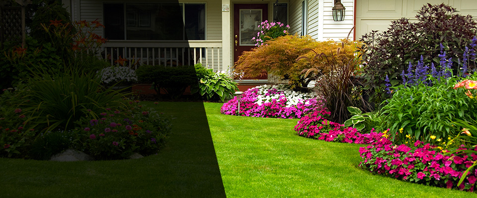 Murfreesboro Landscapers